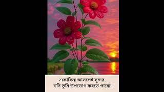হুম  #nasheed #unfrezzmyaccount #aakhirkyutootichhorebarghatiteam #love #motivation #quotes #sad