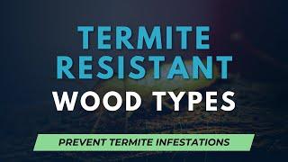 Termite-Resistant Wood Types: Be Smart and Prevent Termites!