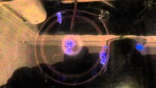 Arc Reactor- homemade plasma generator Version II