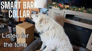 Explanation of the Smart Bark Collar | Real demonstration