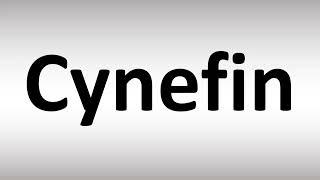 How to Pronounce Cynefin