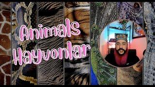 How to Say Animal Names in Uzbek - Hayvonlar - O'zbekcha - Özbekçe