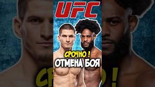 СРОЧНО! Алджамейн Стерлинг снялся с поединка против Мовсара Евлоева на #UFC307 #shorts