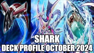 SHARK DECK PROFILE (OCTOBER 2024) YUGIOH!