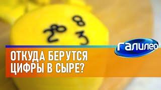 Галилео  Откуда берутся цифры в сыре?