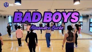 BAD BOYS - Alexandra Burke /팝다이어트댄스 #디앤디댄스 #GX100작품