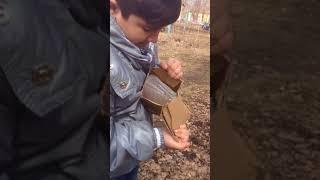 Посылка с сайта ran box