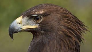 Lords of the Wind; composed and performed by Paul Anderson.