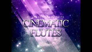 Pulsed Records - Cinematic Flutes [ Samplepro.ru ]