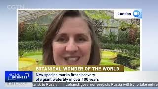 Botanical artist Lucy Smith joins CGTN Europe