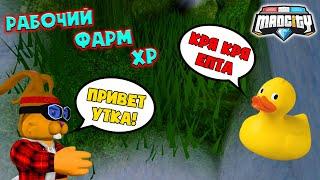 КАК ФАРМИТЬ ОПЫТ в Мед Сити? БЫСТРЫЙ СПОСОБ НАЙТИ УТОК в Mad City Roblox