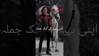 Guess?️‍ Tashnagi e yar novel by Alishey Khan || Novel by MK writes #novel #novelist #love