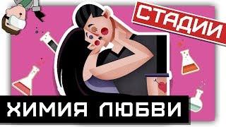 ХИМИЯ ЛЮБВИ: стадии отношений между МУЖЧИНОЙ и ЖЕНЩИНОЙ! 