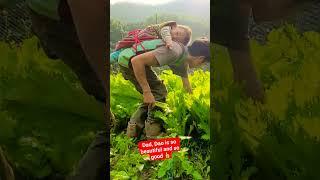 giờ tốt quá