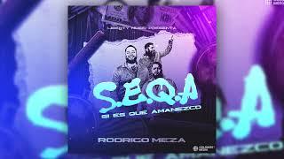 Rodrigo Meza - SEQA