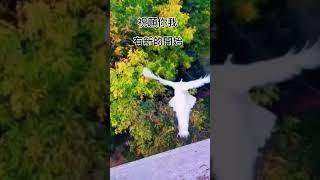 什麼是新的開始？ 拾穗之悅～2024年12月12日