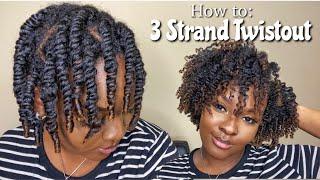 IN DEPTH 3-Strand Twistout on Type 4 NATURAL HAIR