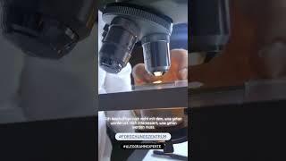 Autogrammexperte - Alessandro Pippia. Rheintaler Forschungszentrum