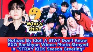 Noticed By Idol! A STAY Don't Know EXO Baekhyun Whose Photo Strayed In "STRAY KIDS Season Greeting"