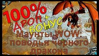 Маунты World of Warcraft: поводья черного дракона + БОНУС!