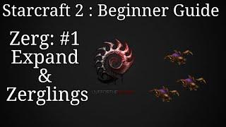 Starcraft 2 : Beginner Zerg Guide #1 : Expand and Zerglings