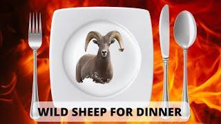 WILD SHEEP FOR DINNER $4500 A POUND