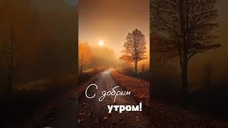 Доброе утро | Осень. Листопад