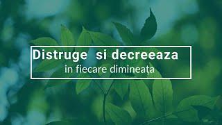 Distruge și decreeaza asta in fiecare dimineața (Access Consciousness)