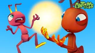 Sunburn Disaster! | Antiks | Funny Cartoons for Kids | Moonbug Kids Express Yourself!