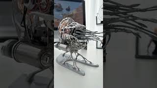 Mechanical species - Nautilus