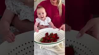 Summer Strawberry Cake 