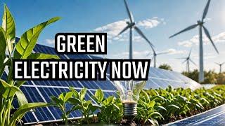 The Future of Electricity: Renewable Revolution