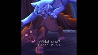 Which Warrior cat is most like you? [Warrior cats edit] #warriorsspirit #edit #warriorcats #fyp