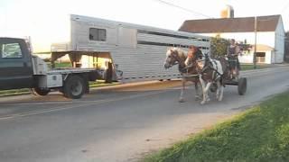 Training a Horse to Drive