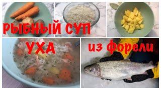 РЫБНЫЙ СУП ИЗ ФОРЕЛИ. УХА.