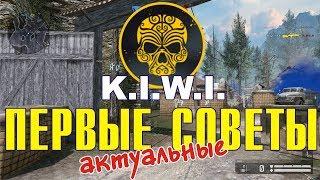 Первые актуальные советы по K.I.W.I.