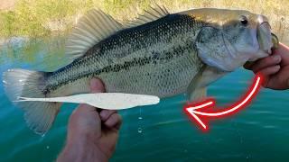 5 MISTAKES Bass Fishing FLUKES (3x Your Fish Catches)