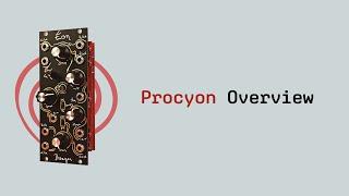 Procyon // Overview