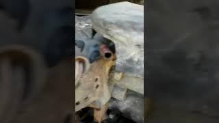 #3 Bypassing throttle body Ford f150
