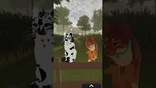 Rusty is a lier! #wcue #wcueedit #besttrending #inspired #cats #firestar #goodbye #smudge