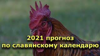 2021 прогноз по славянскому календарю на год кричащего Петуха.