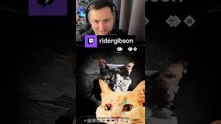 Режим Арахнофобии должен выглядеть вот так! | ridergibson с помощью #Twitch