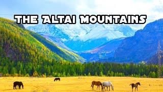 The Altai Mountains are one of the most stunning and beautiful natural areas in the world