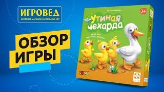 Утиная чехарда. Обзор настольной игры от Игроведа