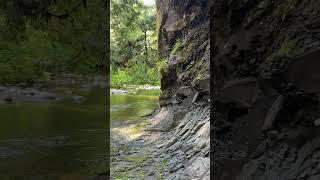 Do Nothing Challenge 444  New Earth Creations #shawnpederson #donothing #shorts #patreoncreator