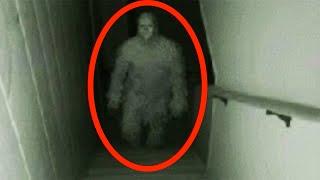 Top 15 Scary Videos That'll Even Frighten the Fearless