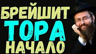 Брейшит, часть1️⃣Недельная глава Торы. Рав Байтман. Тора: начало