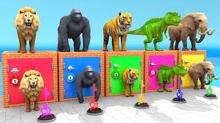 Elephant Tiger Lion Gorilla T-Rex Guess The Right Key ESCAPE ROOM CHALLENGE Animals Cage Game