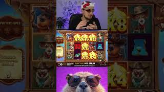 НОВИЧОК в казино! Учимся играть в  DOG HOUSE