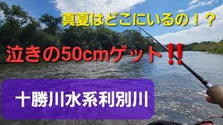 十勝川水系利別川 ニジマス48cm！今日もスプーン(BUX)だけですよー